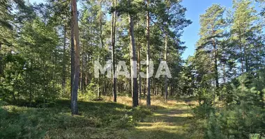 Grundstück in Gauja, Lettland