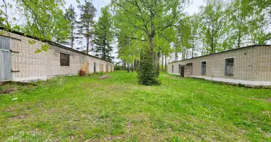 Warehouse 351 m² in Baraulianski sielski Saviet, Belarus