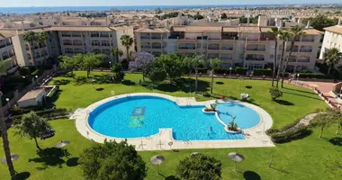 Penthouse 3 zimmer in Orihuela, Spanien