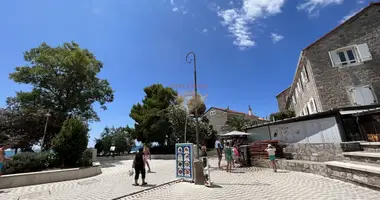 Commercial property 34 m² in Montenegro
