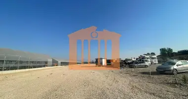 Parcelas en Bashkia Durres, Albania