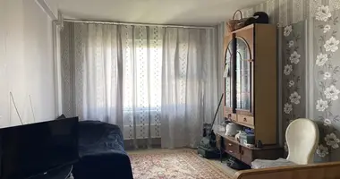 1 bedroom apartment in Minsk, Belarus
