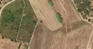Plot of land in Kassandreia, Greece