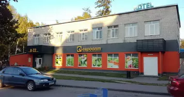Shop in Byarozawka, Belarus