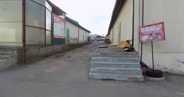 Warehouse 200 m² in Babruysk, Belarus