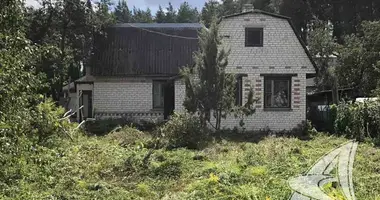 House in Muchaviecki sielski Saviet, Belarus