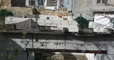 Дом 2 комнаты в Одесса, Украина