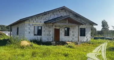 Haus in Radvanicki sielski Saviet, Belarus