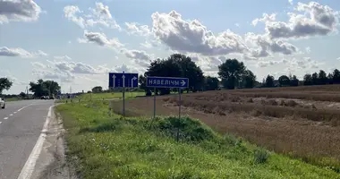 Grundstück in Niavielicy, Belarus