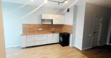 1 room apartment in Minsk, Belarus