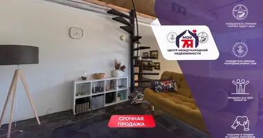 House in Sorahi, Belarus