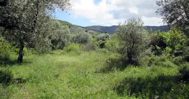 Plot of land in Thassos Municipality, Greece