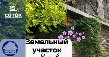 Plot of land in Baranavichy, Belarus