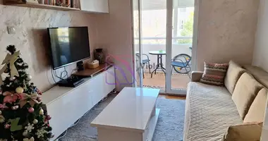 1 bedroom apartment in Zmaj Jovina, Montenegro