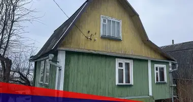 Haus in Lasanski sielski Saviet, Belarus