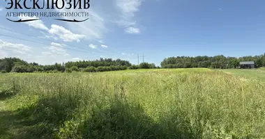 Grundstück in Pryliepy, Belarus