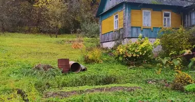 Maison dans Panizouje, Bélarus