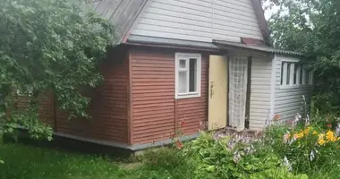 3 room house in Aliachnovicki sielski Saviet, Belarus