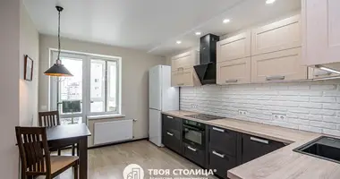 1 bedroom apartment in Minsk, Belarus