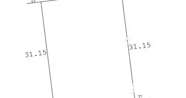 Plot of land in Carnaucycki sielski Saviet, Belarus