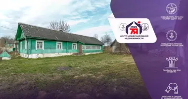 Дом в Лебедево, Беларусь