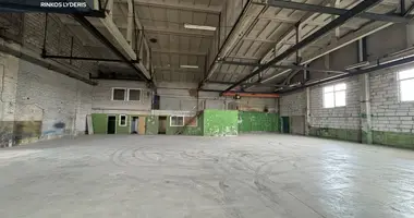 Commercial property 2 119 m² in Alytus, Lithuania