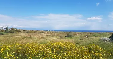 Działka w Paralimni, Cypr