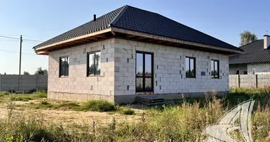 Haus in Carnaucycki sielski Saviet, Belarus