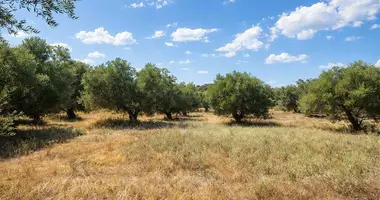 Terrain dans Kassandrino, Grèce