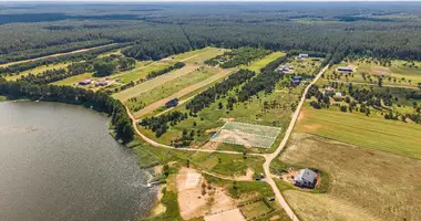 Plot of land in Senasis Tarpupis, Lithuania