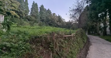 Parcela en Akhalsheni, Georgia