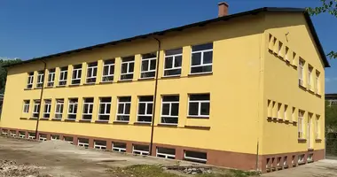 Commercial property 2 500 m² in Grad Sisak, Croatia