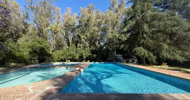 2 bedroom apartment in San Pedro Alcantara, Spain