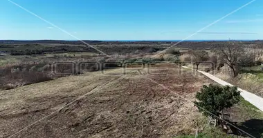Terrain dans Buje, Croatie