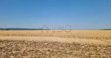 Apartment in Tankovo, Bulgaria