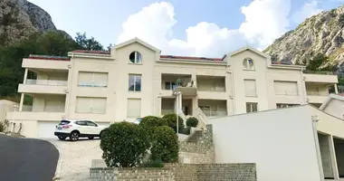 Wohnung 1 Schlafzimmer in Kotor, Montenegro