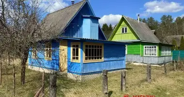 House in Parecki sielski Saviet, Belarus