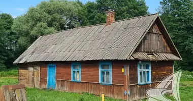 House in Cerninski sielski Saviet, Belarus