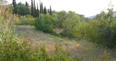 Gewerbefläche in Montenegro