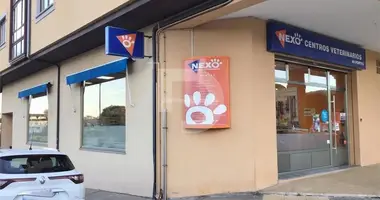 Propiedad comercial 128 m² en Sant Marti dAlbars, Španjolska