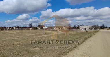 Plot of land in Carnaucycki sielski Saviet, Belarus