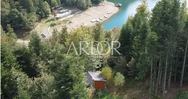 Terrain dans Opcina Lokve, Croatie