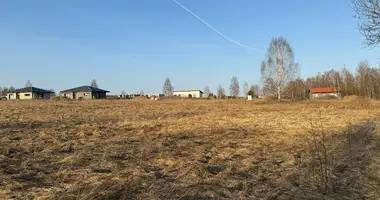 Grundstück in Katiliskes, Litauen