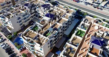 Wohnung 2 zimmer in Dehesa de Campoamor, Spanien