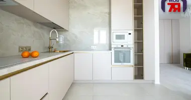 1 room apartment in Minsk, Belarus