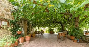 Commercial property 685 m² in la Bisbal dEmporda, Spain