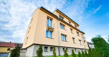 Wohnung in Nebahau, Tschechien