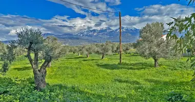 Terrain dans Municipality of Festos, Grèce