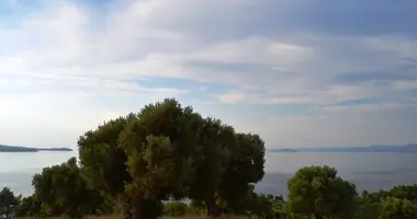 Plot of land in Kassandra Municipality, Greece