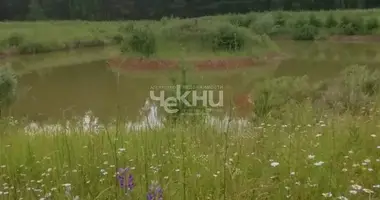 Parcela en Dalnekonstantinovsky District, Rusia